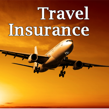 Small National Travel Insurance Service Provider